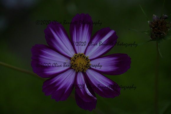 _CAB0926