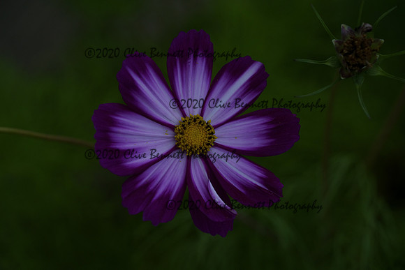 _CAB0927