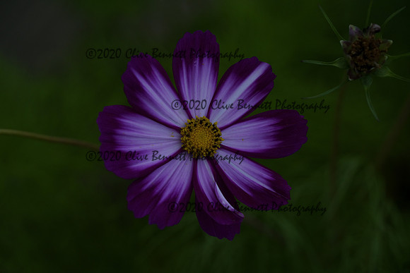 _CAB0928