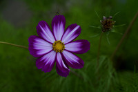 _CAB0933