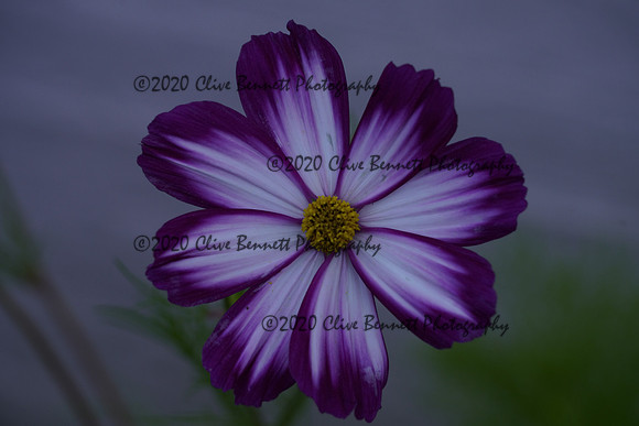 _CAB0923