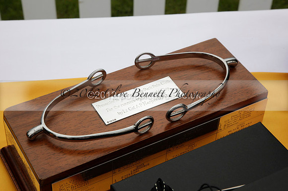 at the Veuve Clicquot Gold Cup Final Cowdray Park Polo Club on Sunday July 2012