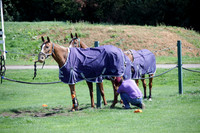 Montana v Maiz Dulce in the Uber 12 goal Final polo match played on Lawns 1 at Cowdray Park Polo Club on Sunday 26 August 2012