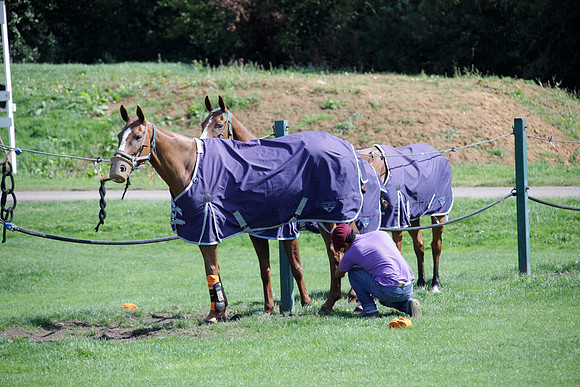 Montana v Maiz Dulce in the Uber 12 goal Final polo match played on Lawns 1 at Cowdray Park Polo Club on Sunday 26 August 2012