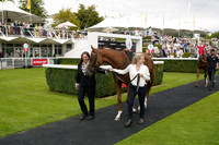 _CAB3748