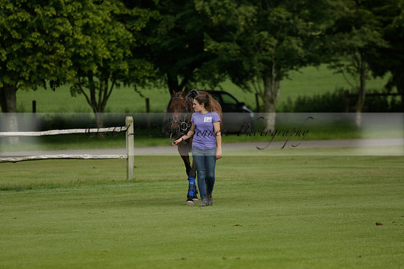 Maiz Dulce v Ghost Chilli in the Easebourne Cup final Polo match 2013.06.09