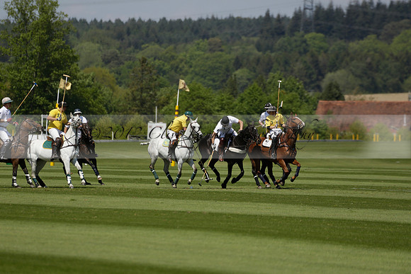 Maiz Dulce v Pluma Negra in a Jubilee 6 Goal Polo match 2013.05.27