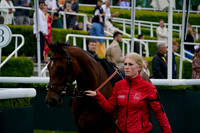 _CAB0431