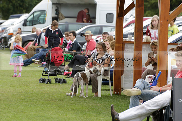 The Blue Jackets Cup polo match played between Maize Dulce (green) vs Home Farm (white) At the New Forest Polo Club on Sunday 18 August 2013