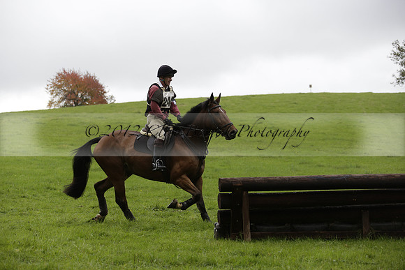 Chiddingfold, Leconfield and Cowdray Hunt, Hunter Trials at Iping on Sunday 20 October 2013. 2013.10.20 www.polopictures.co.uk