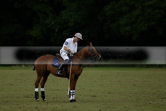 The Blue Jackets Cup polo match played between Maize Dulce (green) vs Home Farm (white) At the New Forest Polo Club on Sunday 18 August 2013