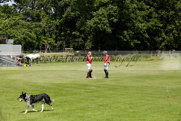 Maiz Dulce v Emlor in a Barrett Cup Polo match 2013.06.30