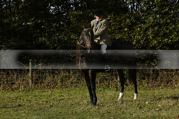 Devon & Somerset StagHounds meet at Five Cross Ways on Thursday 17 October 2013. 2013.10.17 www.polopictures.co.uk