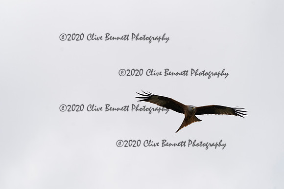 _CAB6770