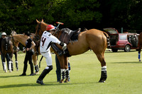 Maiz Dulce v Jaeger Le Coultre in the Robert Fraser Cup Final Polo match 2013.05.26