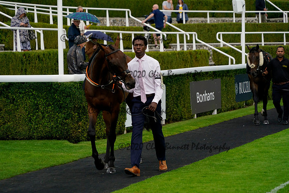_CAB1123