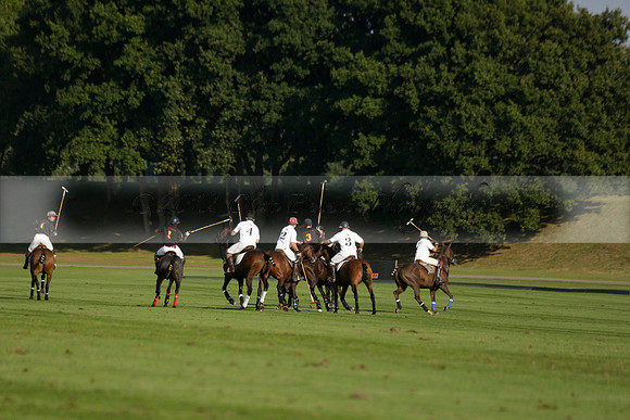 Pluma Negra (white) v Shoreline (black) in the Brecknock Cup Subsidiary final polo match played on Sunday 25 August 2013 at Cowdray Park Polo Club on Ambersham 1. 2013.10.12 www.polopictures.co.uk