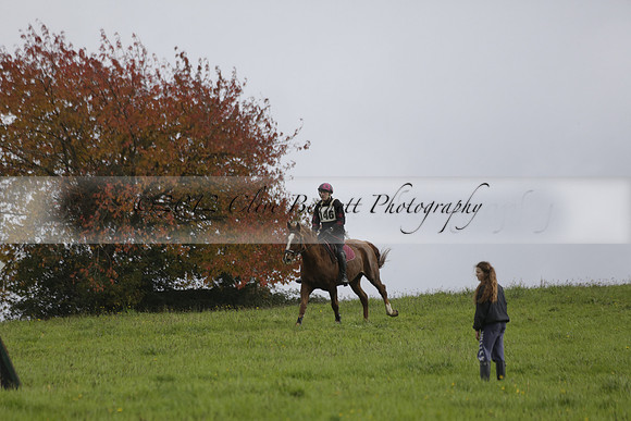 Chiddingfold, Leconfield and Cowdray Hunt, Hunter Trials at Iping on Sunday 20 October 2013. 2013.10.20 www.polopictures.co.uk