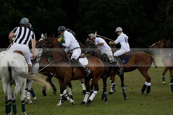 The Blue Jackets Cup polo match played between Maize Dulce (green) vs Home Farm (white) At the New Forest Polo Club on Sunday 18 August 2013