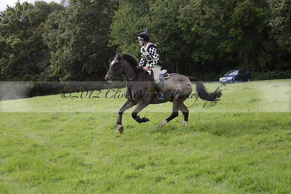 Chiddingfold, Leconfield and Cowdray Hunt, Hunter Trials at Iping on Sunday 20 October 2013. 2013.10.20 www.polopictures.co.uk