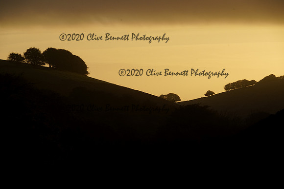 _CAB2979