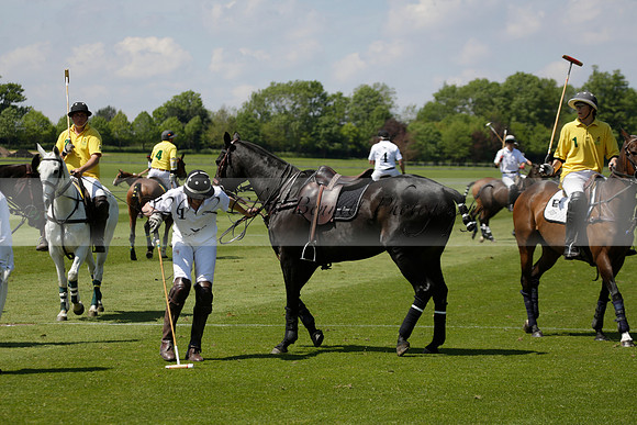Maiz Dulce v Pluma Negra in a Jubilee 6 Goal Polo match 2013.05.27