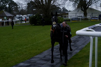Race 7 The starsportsbet.co.uk Open Maiden National Hunt Flat Race 2025.02.23
