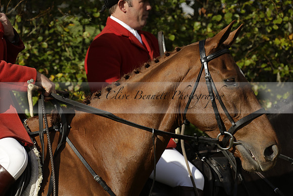 Devon & Somerset StagHounds meet at Five Cross Ways on Thursday 17 October 2013. 2013.10.17 www.polopictures.co.uk