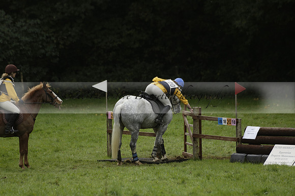 Chiddingfold, Leconfield and Cowdray Hunt, Hunter Trials at Iping on Sunday 20 October 2013. 2013.10.20 www.polopictures.co.uk