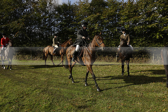 Devon & Somerset StagHounds meet at Five Cross Ways on Thursday 17 October 2013. 2013.10.17 www.polopictures.co.uk