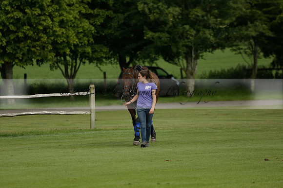 Maiz Dulce v Ghost Chilli in the Easebourne Cup final Polo match 2013.06.09