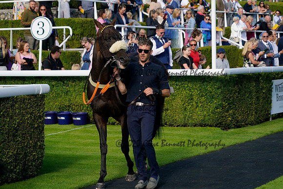 _CAB8543