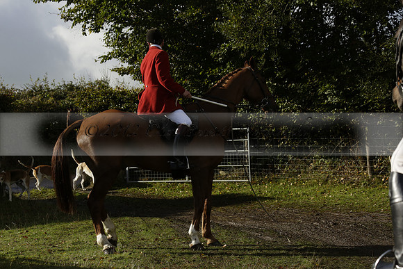 Devon & Somerset StagHounds meet at Five Cross Ways on Thursday 17 October 2013. 2013.10.17 www.polopictures.co.uk