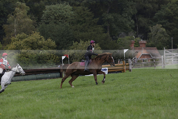 Chiddingfold, Leconfield and Cowdray Hunt, Hunter Trials at Iping on Sunday 20 October 2013. 2013.10.20 www.polopictures.co.uk