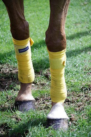 Montana v Maiz Dulce in the Uber 12 goal Final polo match played on Lawns 1 at Cowdray Park Polo Club on Sunday 26 August 2012