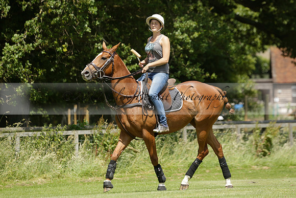 Maiz Dulce v Emlor in a Barrett Cup Polo match 2013.06.30