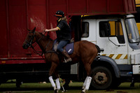 Maiz Dulce v Broadoak Farm in an Autumn Cup polo match played at Cowdray Park Polo Club on Wednesday 12 September 2012 on Ambersham 3.