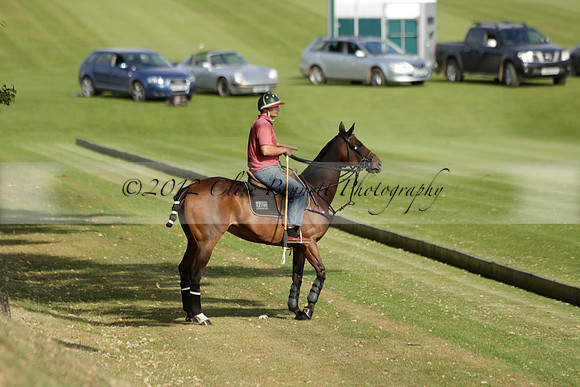 Pandas (white) v Home Farm (navy) in a Park House West Sussex Cup Polo match on Brooksfield at Cowdray Park Polo Club on Friday 30 August 2013. 2013.08.30 www.polopictures.co.uk