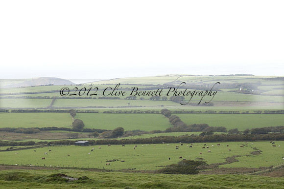 Devon & Somerset Staghounds meet at Larkbarrow Corner. North Devon. 2013.10.18 www.polopictures.co.uk