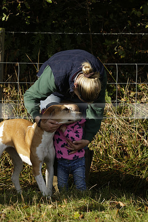 Devon & Somerset StagHounds meet at Five Cross Ways on Thursday 17 October 2013. 2013.10.17 www.polopictures.co.uk