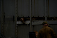 Hound Exercise Saturday 2025.08.23