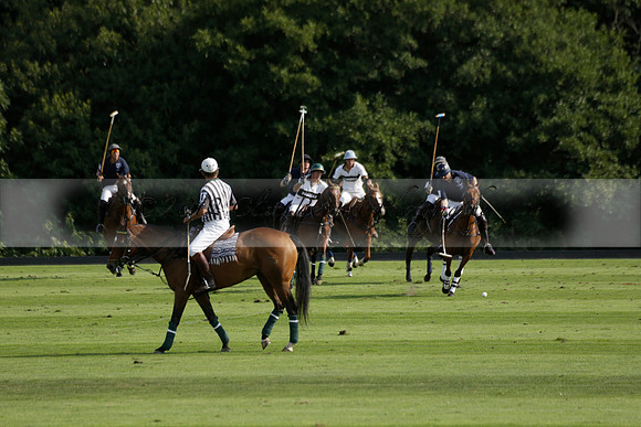 Pandas (white) v Home Farm (navy) in a Park House West Sussex Cup Polo match on Brooksfield at Cowdray Park Polo Club on Friday 30 August 2013. 2013.08.30 www.polopictures.co.uk