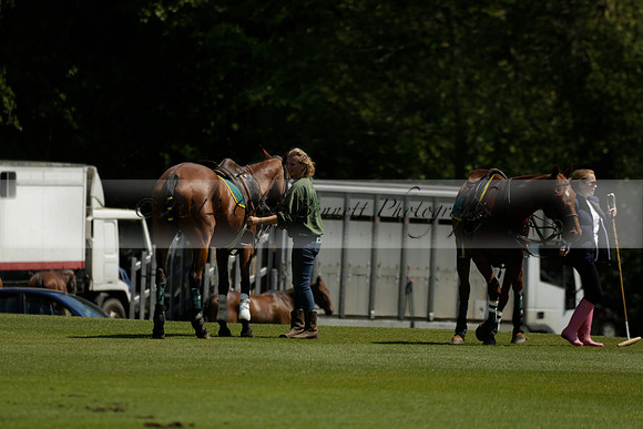Maiz Dulce v Pluma Negra in a Jubilee 6 Goal Polo match 2013.05.27