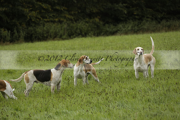 Devon & Somerset Stag Hounds meet at Hillhead Cross on Monday 14 October 2013. 2013.10.14 www.polopictures.co.uk