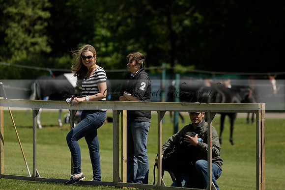 Maiz Dulce v Pluma Negra in a Jubilee 6 Goal Polo match 2013.05.27