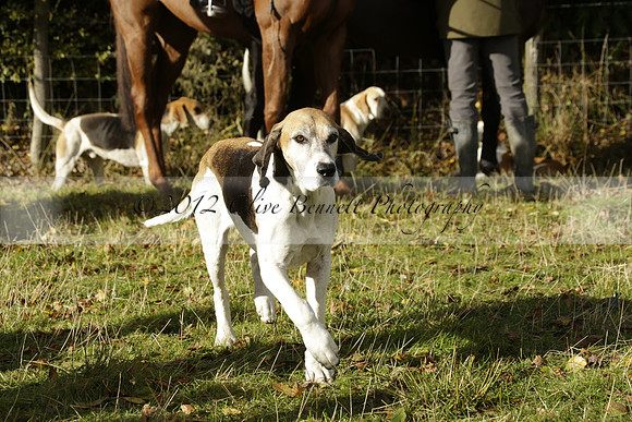 Devon & Somerset StagHounds meet at Five Cross Ways on Thursday 17 October 2013. 2013.10.17 www.polopictures.co.uk