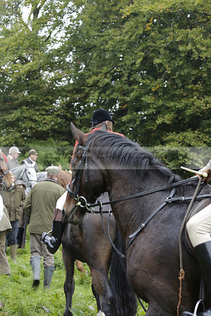 Devon & Somerset Stag Hounds meet at Liscombe on Saturday 12 October 2013 2013.10.12 www.polopictures.co.uk