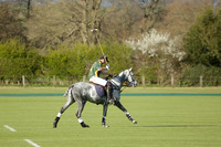Maiz Dulce v Las Estrellas in a Barrett Cup Polo match 2013.04.27