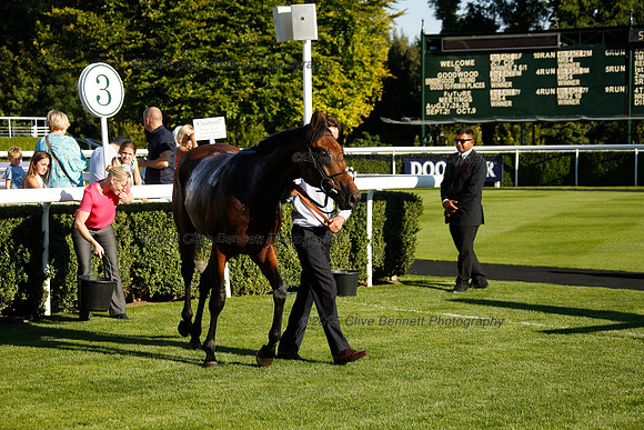 _CB_3850