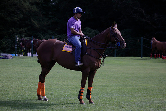 Montana v Maiz Dulce in the Uber 12 goal Final polo match played on Lawns 1 at Cowdray Park Polo Club on Sunday 26 August 2012